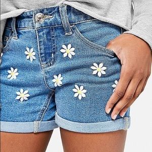 Zara Daisy Embroidered Denim Mom Shorts